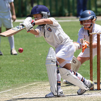 Cricket