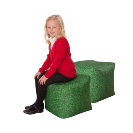 Learn About Nature Grass Bean Bag Cubes - Pack of 2