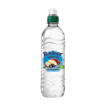 Radnor Splash Still App Rasp 500ml  Pack 24