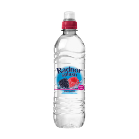Radnor Splash Still - 500ml - Pack of 24