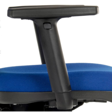 Arms Step Adjustable 