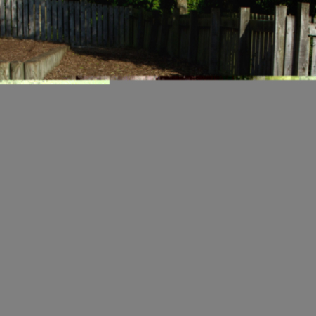 Children&#039;s Tree Trunk Soft Seating Bundle 