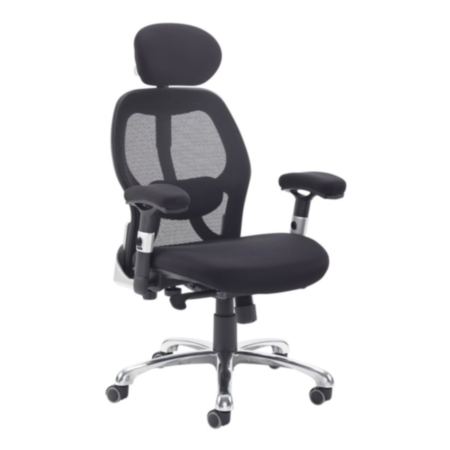 Sandro Mesh Back Ergonomic Executive Office Chair With Head Rest - Black 