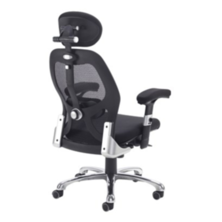 Sandro Mesh Back Ergonomic Executive Office Chair With Head Rest - Black 