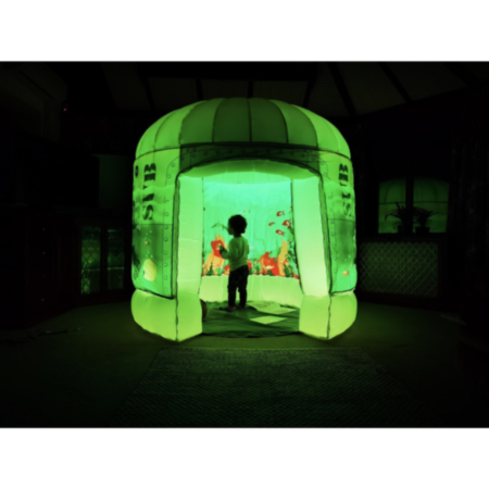 Early Years Indoor Sub Aqua Quest Experience Pod 