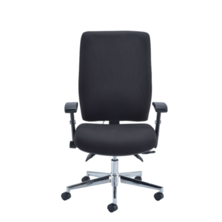 Caracal Fabric 8 Hour Ergonomic Office Task Chair with Adjustable Arms