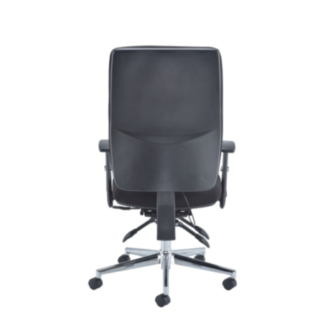 Caracal Fabric 8 Hour Ergonomic Office Task Chair with Adjustable Arms