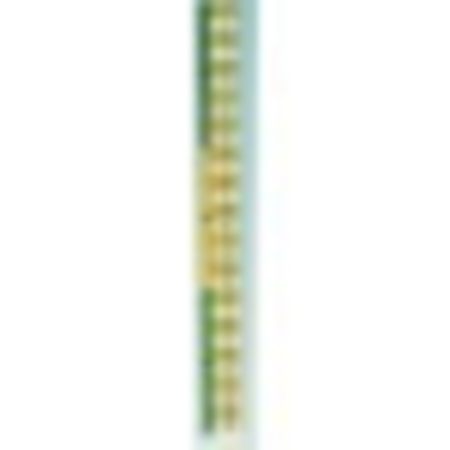 Early Learning Rule 30cm Pack 10