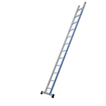 Single Platinium 300 1X12 