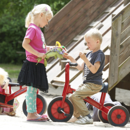 Early Years Winther Viking Small Tricycle 