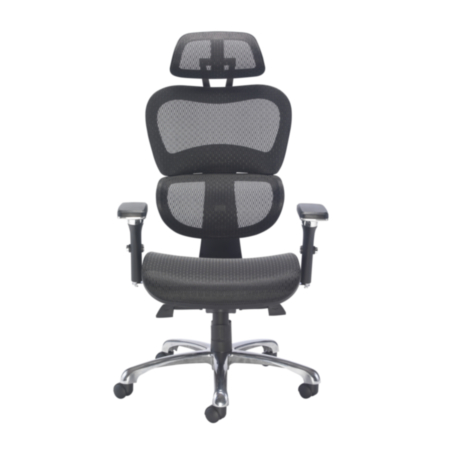 Chachi Ergonomic Air Mesh Task Office Chair  
