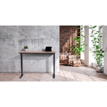Advance Premium Quality Height Adjustable Mini Dual Motor Office Desk
