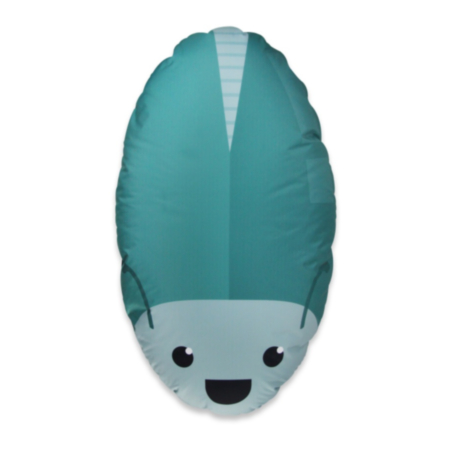 Animal Bean Bags - Indoor and Outdoor  - Set of 5