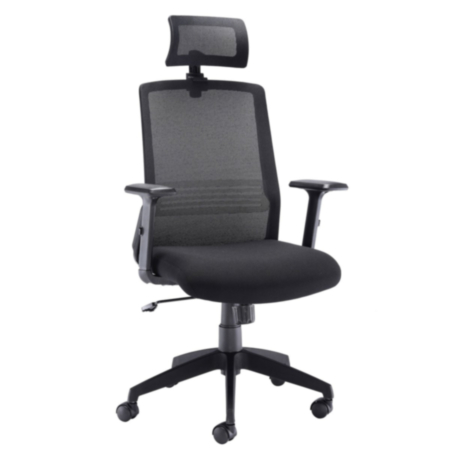 Denali Black Mesh High Back Ergonomic Office Chair With Headrest  
