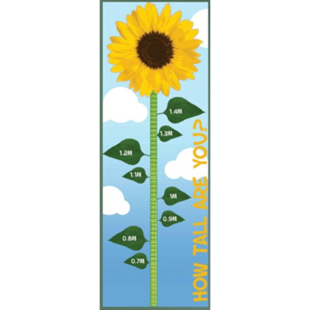 Sunflower Playground Height Chart
