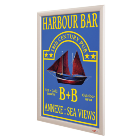 UV Protective External poster case