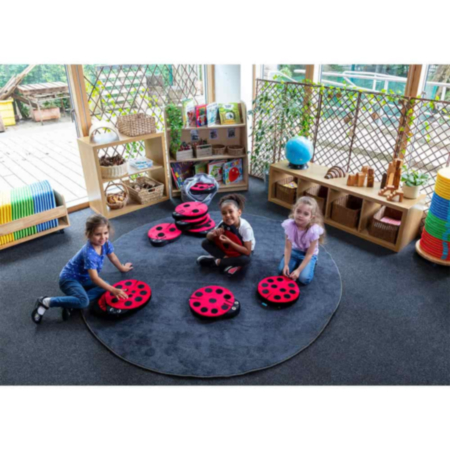 Classroom Back to Nature Sensory Ladybird Counting Cushions with FREE Holdall