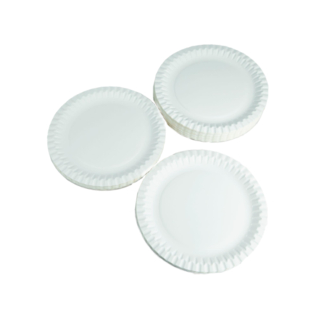 Paper Plates Pack Of 100