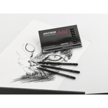 Spectrum Artist Charcoal Pencil  Pack 12-med