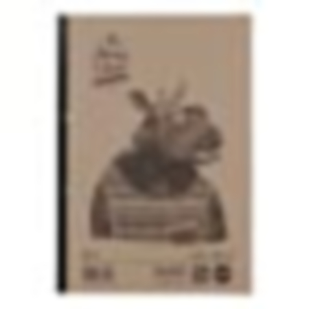 A4 Recycled Refillpad 320p 8mm Margin Pack 3