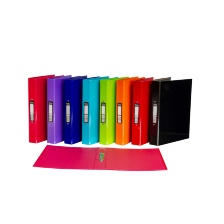 Pukka Ringbinder Files Assorted Pack 10