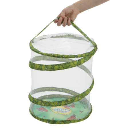 Butterfly Garden: Grow Your Own Butterflies Kit