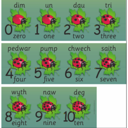 Ladybird Number InOutdoor Board WelEng