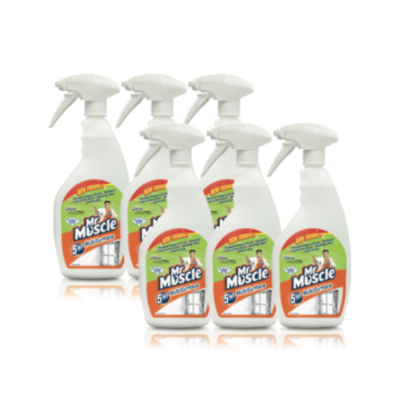 Mr Muscle 5in1 Multi Surface 6x750ml