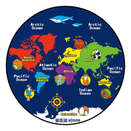 Indoor Classroom Map of the World Educational Rug 