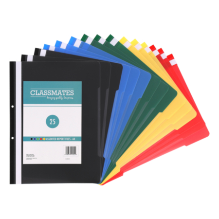 A4 Report Files Assorted Pack 25