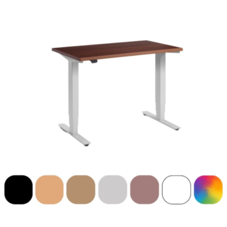 Advance Premium Quality Height Adjustable Mini Dual Motor Office Desk