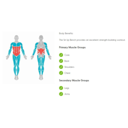 Sit up Bench Outdoor Fitness Equipment