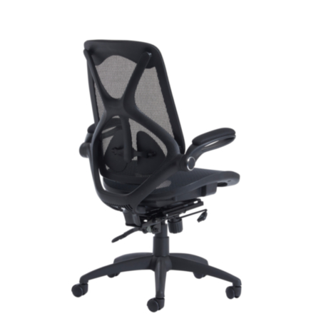 Napier High Back Mesh Ergonomic Office Chair With Mesh Seat