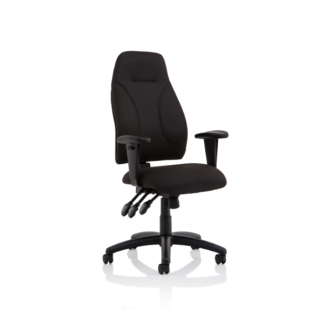 Esme Black Fabric Posture Ergonomic Office Chair With Height Adjustable Arms