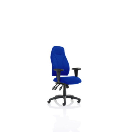 Esme Blue Fabric Posture Ergonomic Office Chair With Height Adjustable Arms