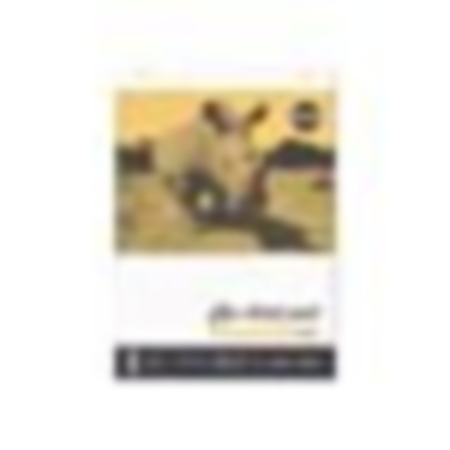 Rhino A1 Dotted Flipchart Pad