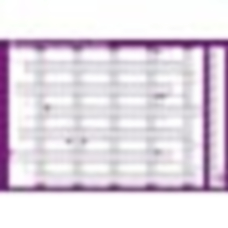 Sasco Academic Year Planner