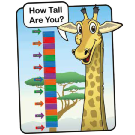 Primary School Indoor or Outdoor Giraffe Height Chart