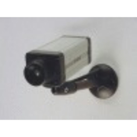 Internal Decoy CCTV Camera