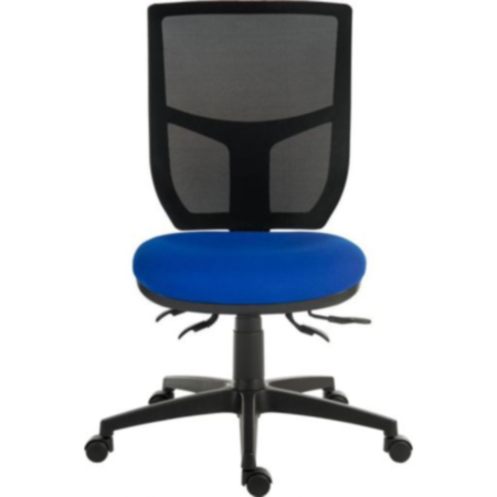 Ergo Comfort Mesh Back Ergonomic Executive Office Operator Chair