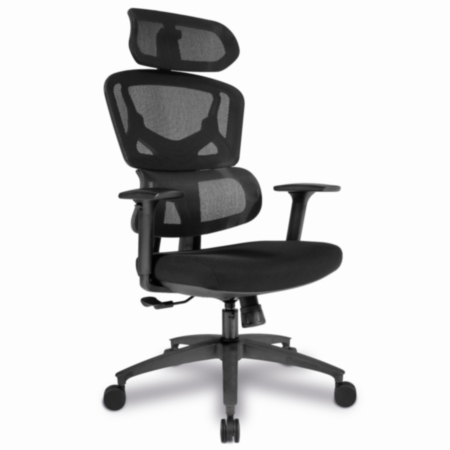 Trinity Mesh High Back Ergonomic Chair with Multi Adjustable Headrest, Lumbar Support and Height Adjustable Arms