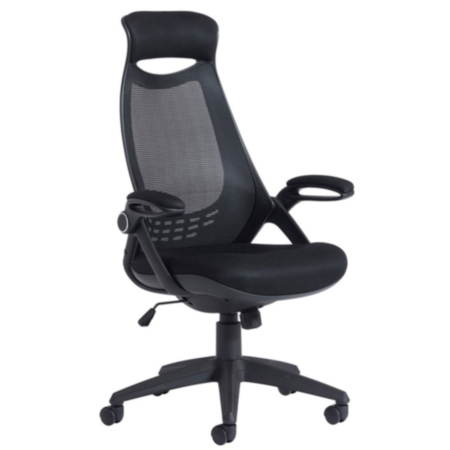 Tuscan High Back Mesh Office Chair With Head Support