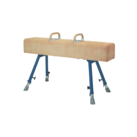 Vaulting Horse With Castors