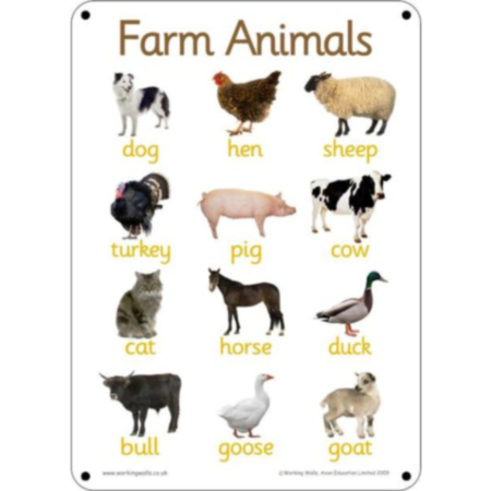 A2 Outdoor Playground Weather Resistant Farm Animals Learning Board